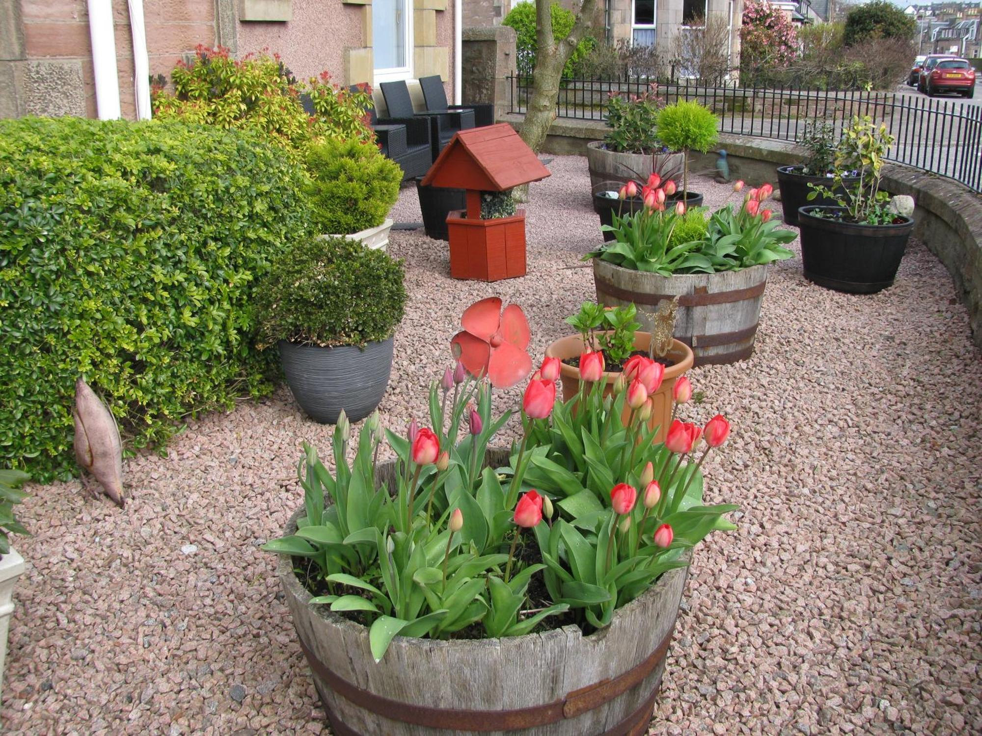 Fairfield Townhouse Guest House Inverness Exterior foto